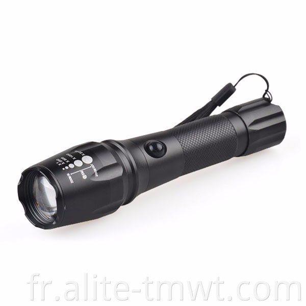 Euro CE 10W XML T6 Lampe de poche de torche LED rechargeable avec fonction stroboscopique